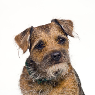 Istockphoto 157558082 170667A Istockphoto 157558082 170667A