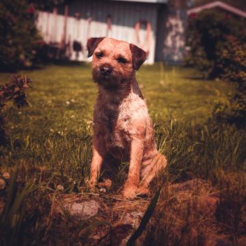 Emil Priver E3weoyvynfm Unsplash Emil Priver E3weoyvynfm Unsplash